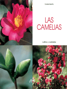 Lee Las camelias - Cultivo y cuidados de Daniela Beretta - Libro  electrónico | Scribd