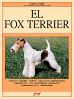 El Fox Terrier