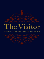 The Visitor