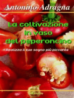 La coltivazione in vaso del peperoncino: Realizza il tuo sogno più piccante