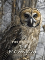 The Brown Owl: A Fairy Story
