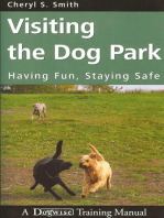 VISITING THE DOG PARK: HAVING FUN, STAYING SAFE