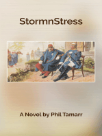 StormnStress