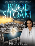 Pool of Siloam (The Cleansing)