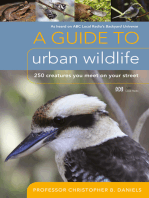 A Guide To Urban Wildlife: 250 creatures you meet on your street