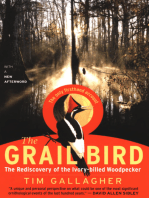 The Grail Bird: The Rediscovery of the Ivory-billed Woodpecker
