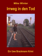 Irrweg in den Tod. Mike Winter Kriminalserie, Band 13. Spannender Kriminalroman über Verbrechen, Mord, Intrigen und Verrat.