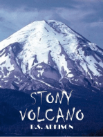 Stony Volcano