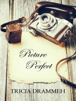 Picture Perfect: A Perfect Short Story
