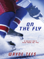 On the Fly: A Hockey Fan's View from the 'Peg