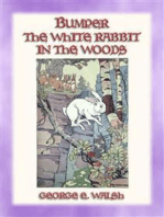 BUMPER THE WHITE RABBIT IN THE WOODS - Book 2 in the Bumper the White Rabbit Series