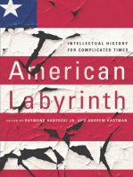 American Labyrinth: Intellectual History for Complicated Times