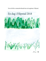 En dag i Filipstad 2018