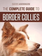 The Complete Guide to Border Collies: Training, Teaching, Feeding, Raising, and Loving Your New Border Collie Puppy