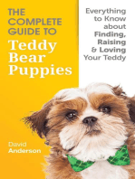 The Complete Guide To Teddy Bear Puppies