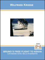 Bruno's Free Flight to Kenya