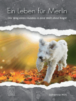 Ein Leben für Merlin: Der Weg eines Hundes in eine Welt ohne Angst