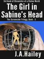 The Girl in Sabine's Head, The Screenside Trilogy, Book - 3