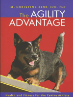 The Agility Advantage