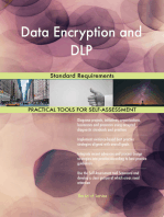 Data Encryption and DLP Standard Requirements