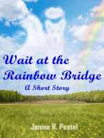 Wait at the Rainbow Bridge