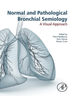 Normal and Pathological Bronchial Semiology: A Visual Approach