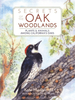 Secrets of the Oak Woodlands: Plants and Animals among California's Oaks