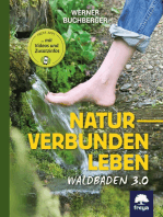 Naturverbunden leben: Waldbaden 3.0