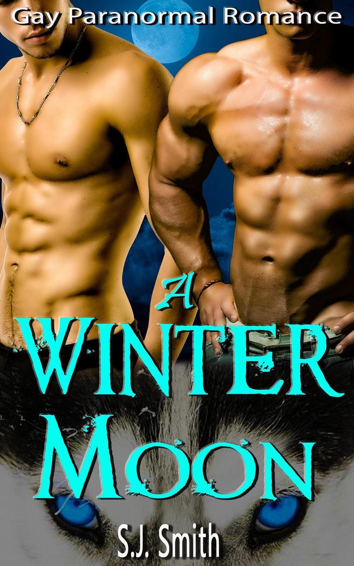 A Winter Moon - Gay Paranormal Romance by S.J image