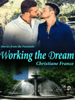 Working the Dream: Stories from the Fountain, #1