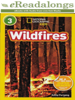 Wildfires