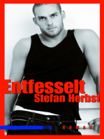 Entfesselt: Roman