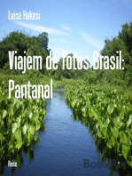 Viajem de fotos Brasil: Pantanal