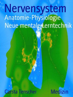 Nervensystem: Anatomie-Physiologie   Neue mentale Lerntechnik