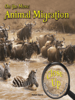 On the Move: Animal Migration