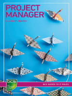 Project Manager: Careers in IT project management