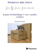 Il gatto di Schrodinger è vivo e medita vendetta