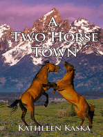 A Two Horse Town