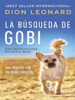 La búsqueda de Gobi