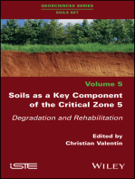 Soils as a Key Component of the Critical Zone 5: Degradation and Rehabilitation