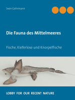 Axolotl - Alles zur erfolgreichen Zucht und Haltung - Luftheber /  Schwammfilter / Innenfilter Motorbetrieben