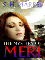 The Mystery of Meri: Ghost Hunters Mystery Parables