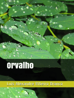Orvalho