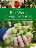 Bio-Wein im eigenen Garten: Wie Anbau, Pflege und Ernte auf kleiner Fläche gelingen