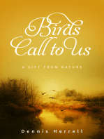 Birds Call to Us