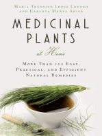 Medicinal Plants at Home
