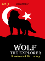 Wolf, the Explorer #0.5 (Karabas in Old Turkey)