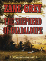 The Shepherd of Guadaloupe: A Western Story