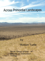 Across Primordial Landscapes