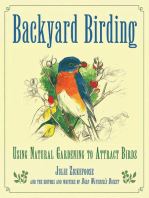 Backyard Birding